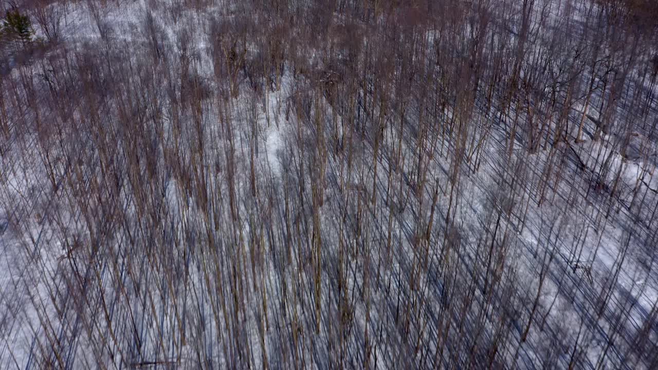 Drone looking down over the woods in a winter forest and moving up revealing a frozen river