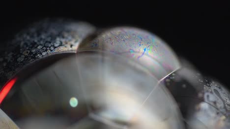 multicolored soap bubbles on black background