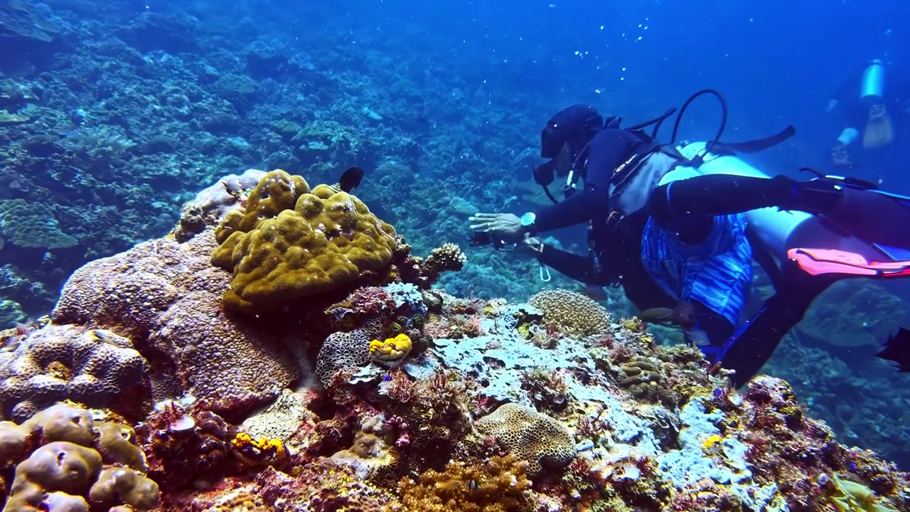 Scuba diver swimming above colorful coral reef in clear tropical blue ocean water, slow motion rearview tilts down to coral head