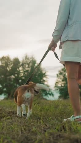 vista trasera del dueño del perro caminando con el perro en la correa a través de un paisaje verde exuberante, bajo la cálida luz del sol, creando una escena al aire libre serena y activa