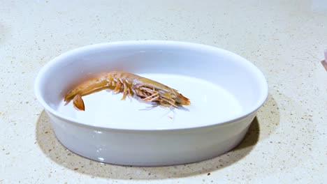 prawn placed in a white dish