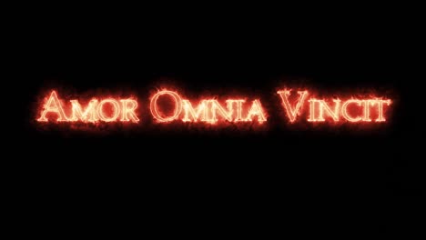 amor omnia vincit escrito con fuego. bucle