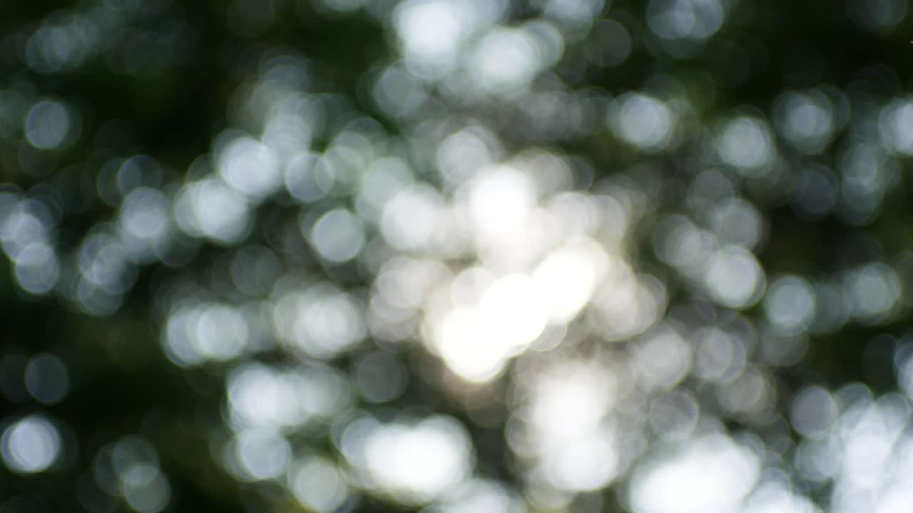 bokeh o desenfoque de fondo. 4k