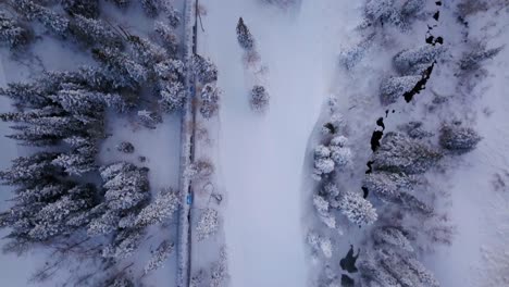 overhead flying drone shot in wasatch forest in december