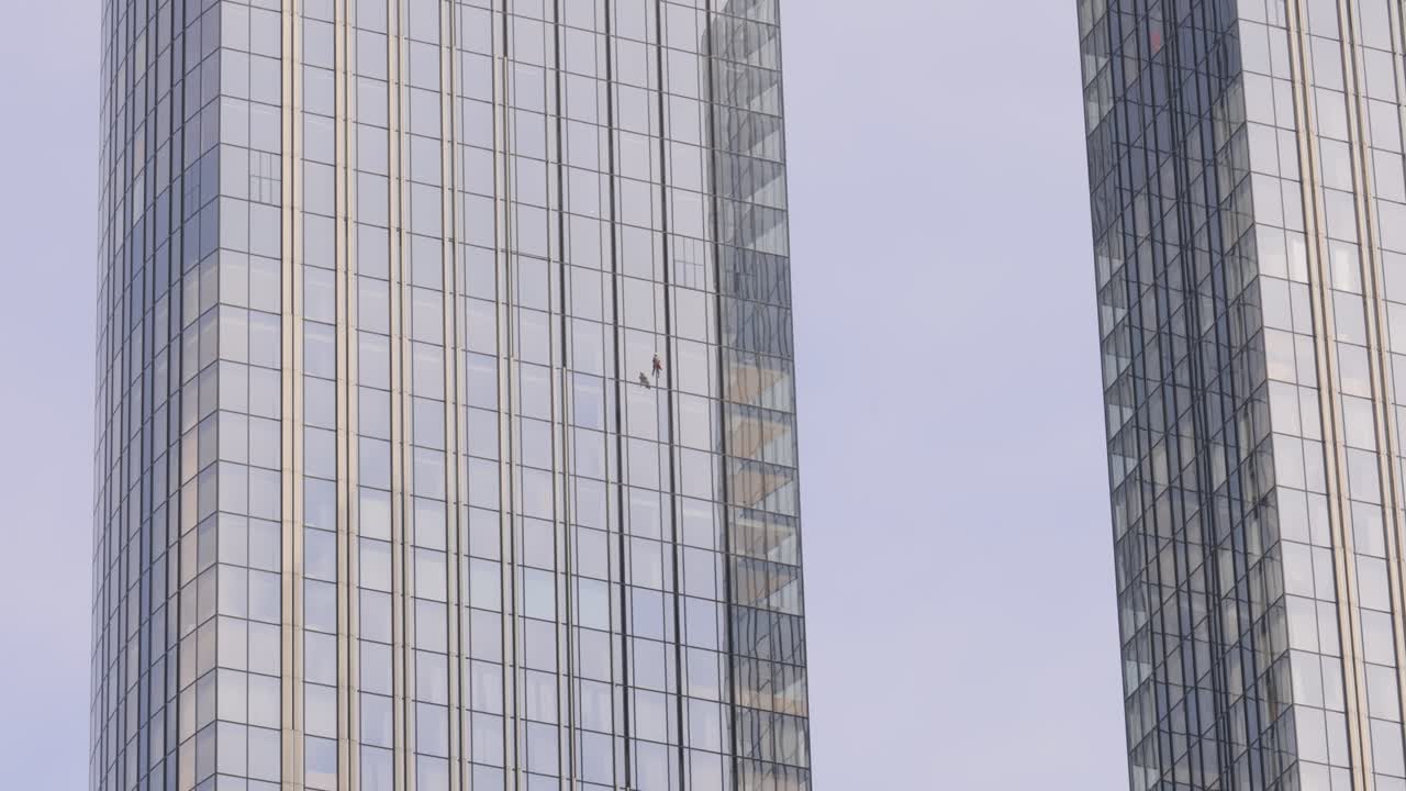 Professional Window cleaners at work