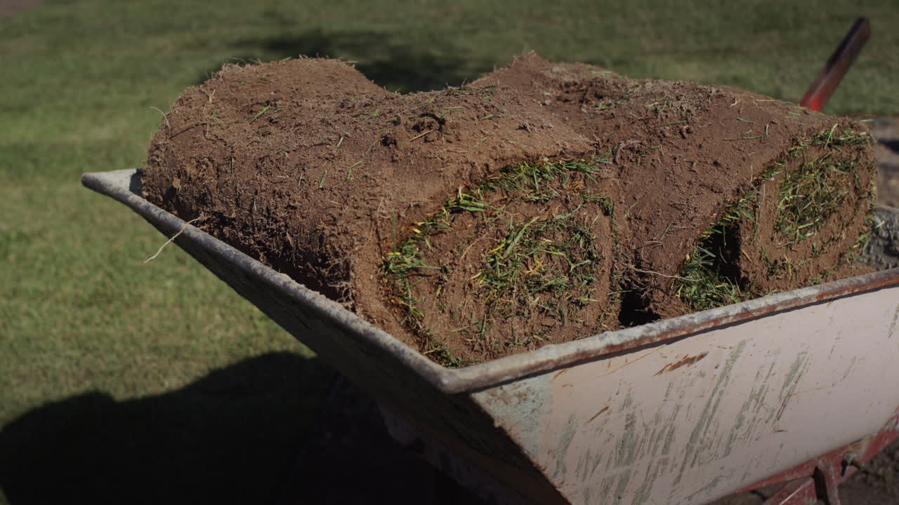 Wheelbarrow with lawn rolls. Landscaping works on the territory of the house. Gardener's inventory