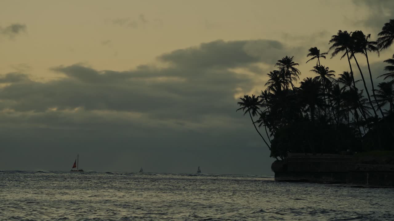 silhouette of palm trees line the shore in this shot just after sunset in O'ahu Hawaii