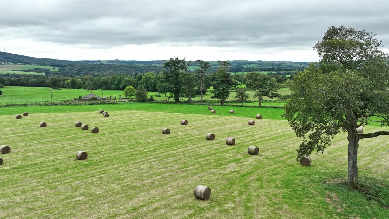 Drone aereo in volo sopra un campo con balle durante il periodo del raccolto a Waterford, Irlanda, inquadratura introduttiva.