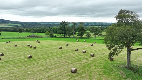 Aerial-drone-flying-over-field-with-bales-harvest-time-in-Waterford-Ireland-establishing-shot