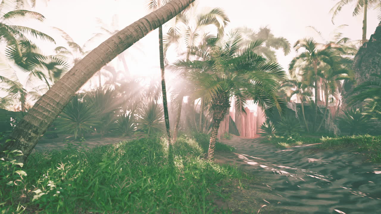 selva tropical con palmeras y luz solar