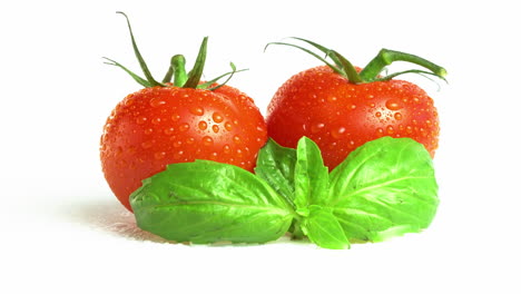 Two-red-cherry-tomatoes-with-basil-leaves-and-water-drops-isolated-on-the-white-background