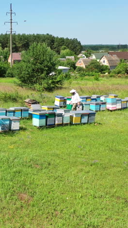 apiary on field in summer. beekeeper working near the beehives on the background of rural houses. beekeeping process. aerial view. vertical video