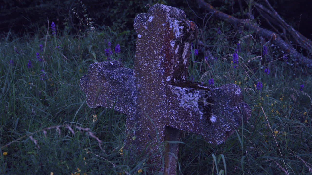 vieja cruz en la tumba de una persona desconocida en medio de la hierba y las flores en el borde del bosque, escena de la tarde