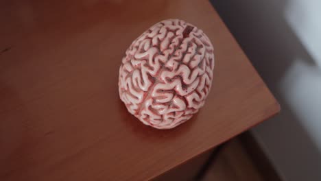 realistic brain model rests on a wooden desk, showcasing detailed grooves and patterns