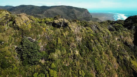 Un-Joven-Caucásico-Aislado-Y-Saludable-Se-Para-En-El-Sendero-De-Trekking-De-La-Naturaleza-Salvaje-De-La-Pista-De-Comans,-Karekare,-Nueva-Zelanda