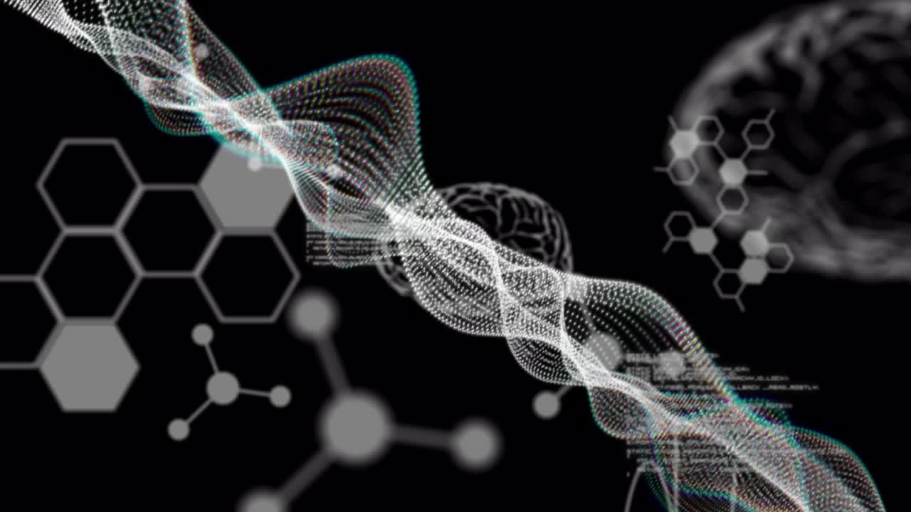 인간 두뇌의 애니메이션과 데이터 처리