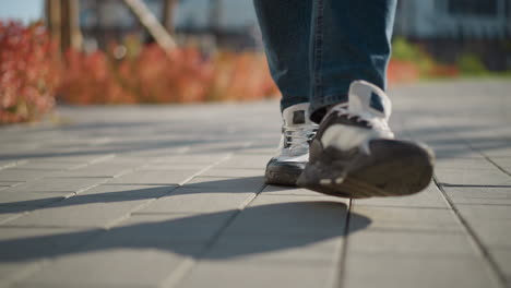 close up low angle view of man wearing jeans and canvas sneakers walking on interlocked pavement with red foliage and blurred tall buildings and long shadow on smooth ground during sunny day