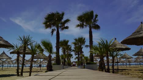 beautiful recreation vacation resort with palms, beach chairs on sand and straw umbrellas