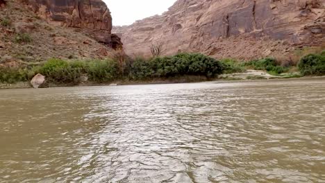 floating on river watching wind blow through trees in utah canyon