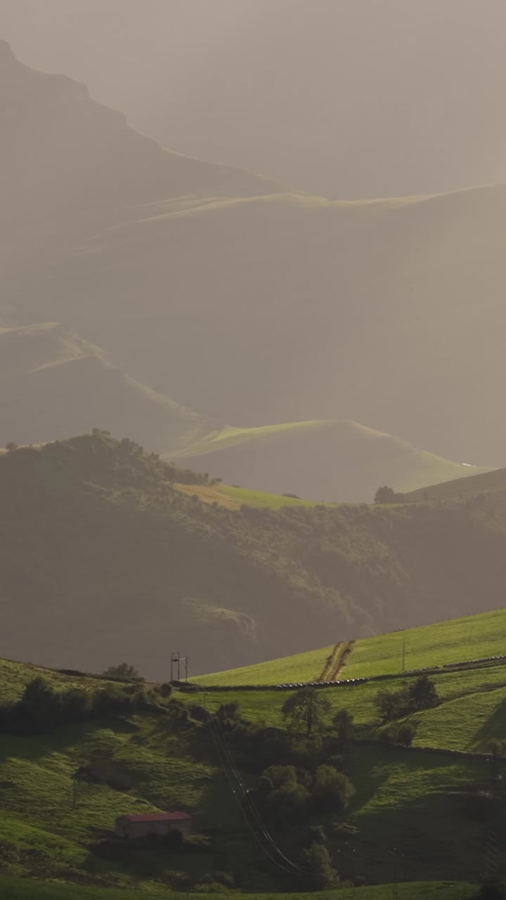 Golden hour light moving across green rolling hills. Vertical