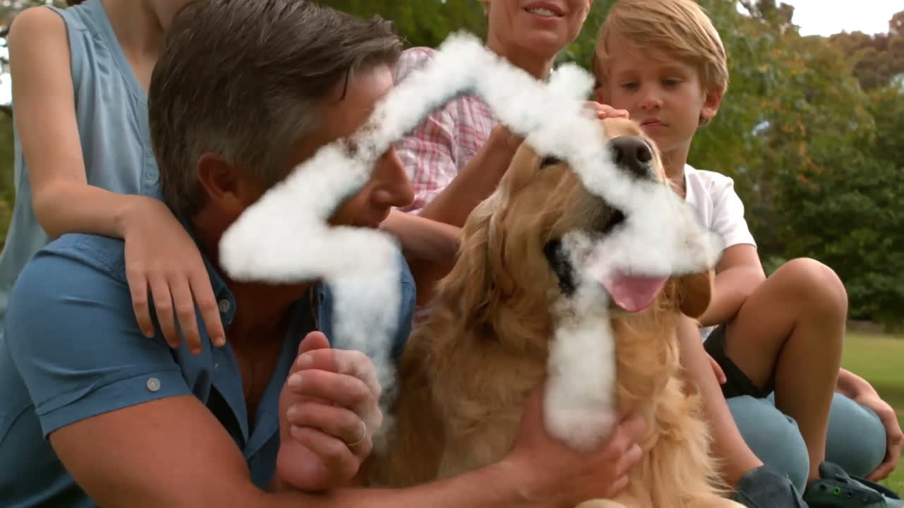 꿈의 집과 가족