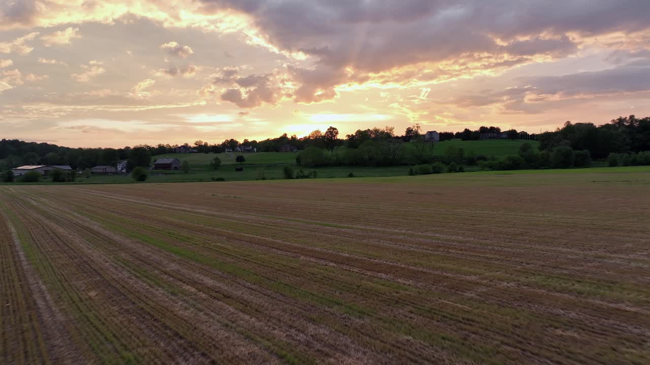 FPV speed flight over cut farm fields during golden sunset in america. Low angle shot. Mystic Golden hour at sky behind forest trees on hill in Pennsylvania, USA.