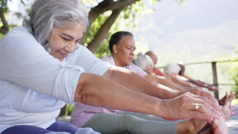 happy diverse senior yoga group sitting touching toes in sunny nature, slow motion