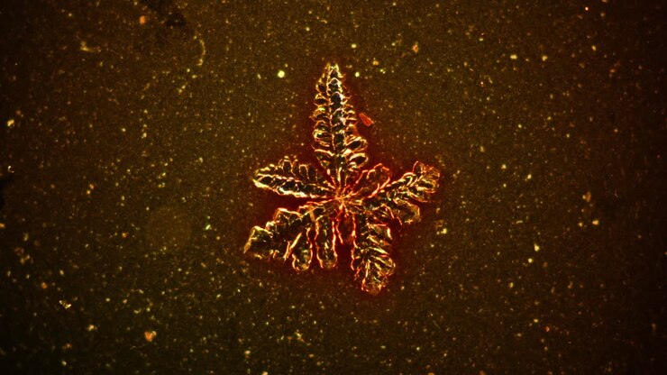 Microscopic Golden Crystal Formation