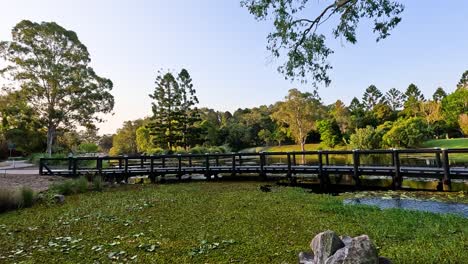 peaceful garden scene with a wooden bridge