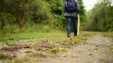 young backpacker hiking down a forest trail with a walking stick - low angle