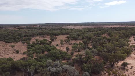 vista aérea de un remoto interior australiano con arbustos y árboles