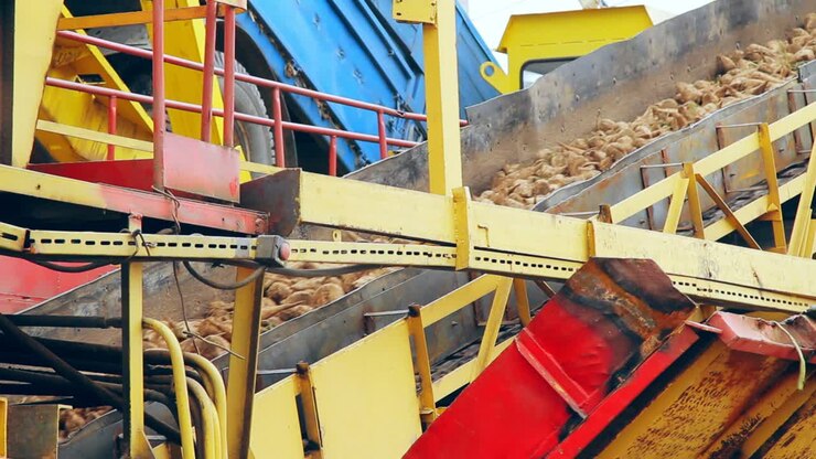 Processing factory conveyor belt. Flax production process