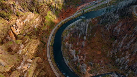 A highway built along the wavy river in the mountains. Top view on the beautiful scenery of bare rocks and dry pine trees. Top view.
