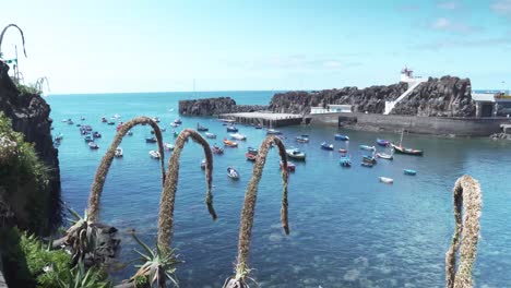 picturesque harbor with colorful fishing boats