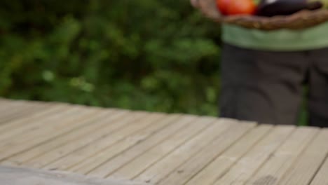 static shot of a man showing a large selection of fresh harvested organic vegetables