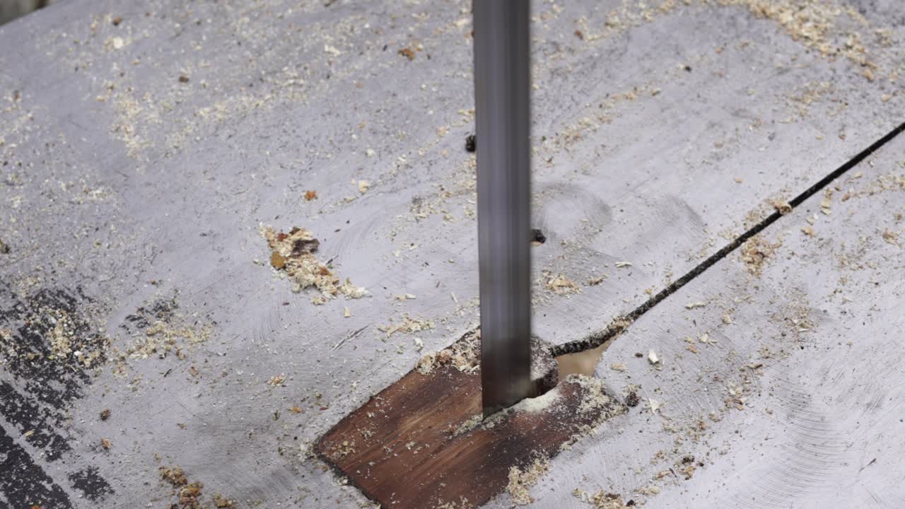 톱 보드에 이끼가 잘린 나무 줄기