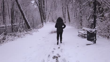 穿着温暖的女人的后视沿着雪<unk>的niebieskie zrodla河边森林的冬季场景行走