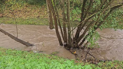 the raging river after heavy rain