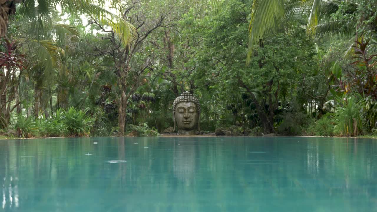 una estatua de la cabeza de buda rodeada de árboles verdes y agua, tranquilidad bajo la lluvia