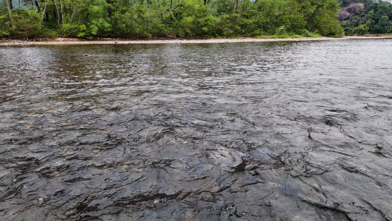 paisaje fluvial con bosque