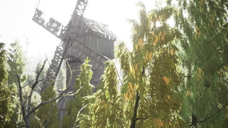 viejo molino de viento rodeado de exuberante vegetación en un día soleado