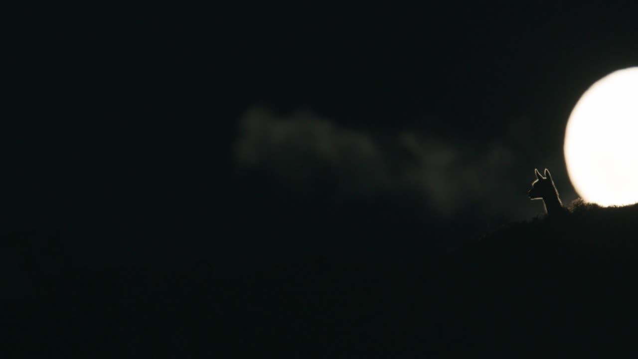 과나코 뒤의 구름과 달