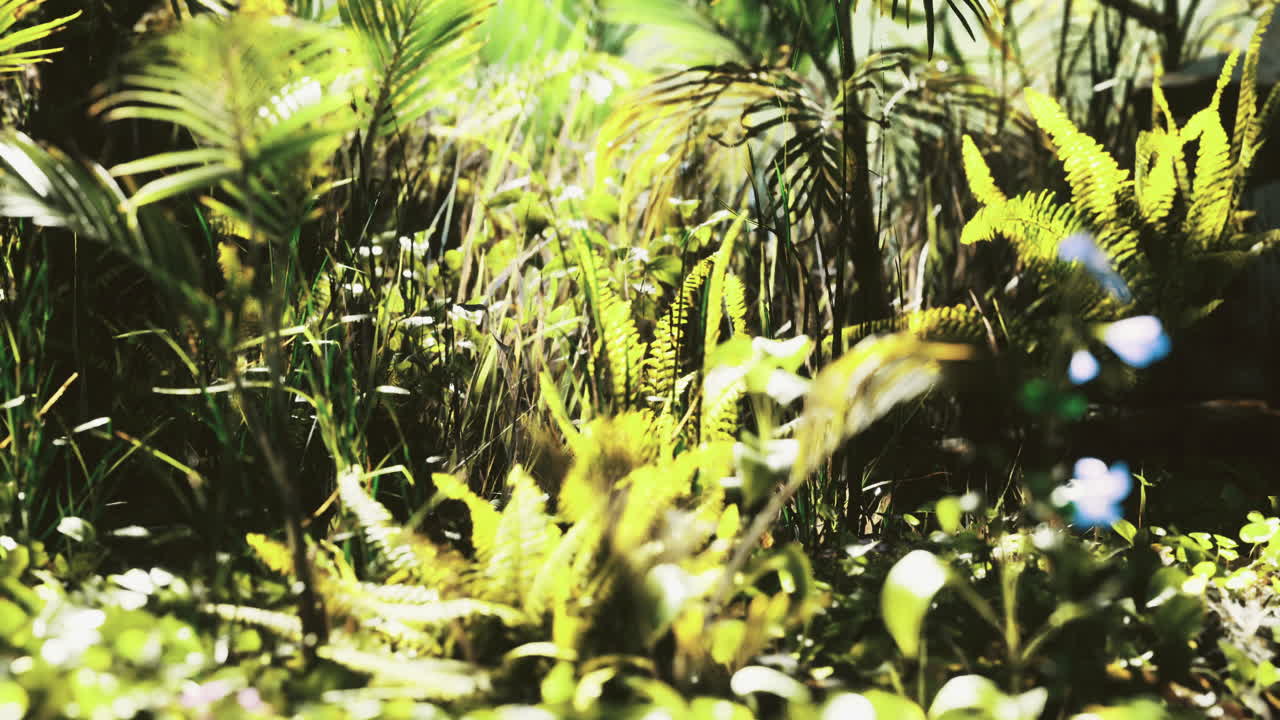 Lush green foliage in a vibrant forest during daylight