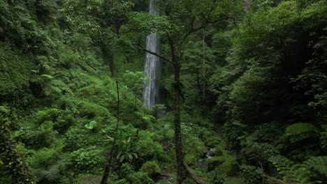 soaring through jungle trees toward an epic waterfall in the north of bali, indonesia