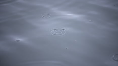 a slow motion of rain drop in the water the pond rainy day closeup