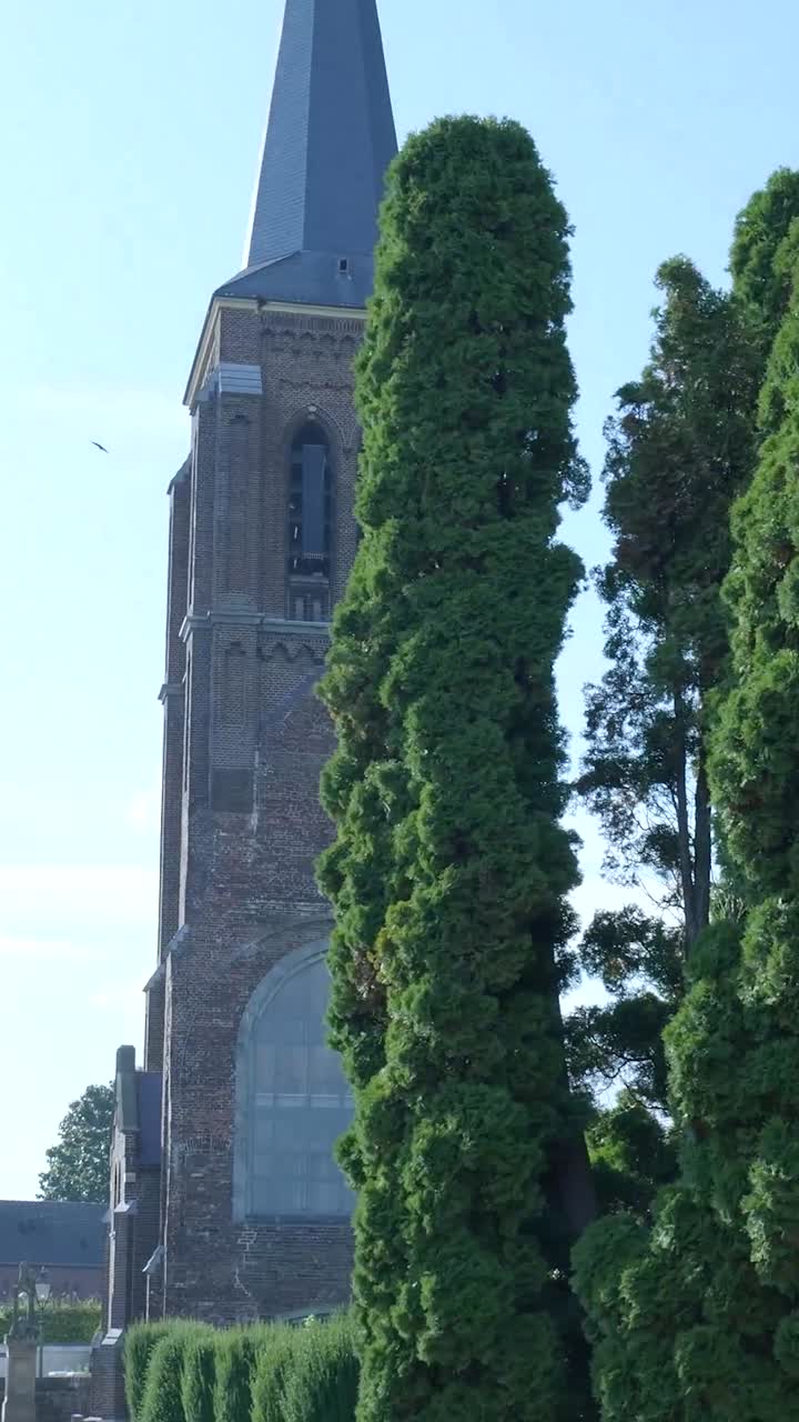 Trees and Church Tower