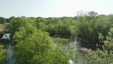 river and lush green trees in wolf river blvd, collierville, tn, usa - aerial drone shot