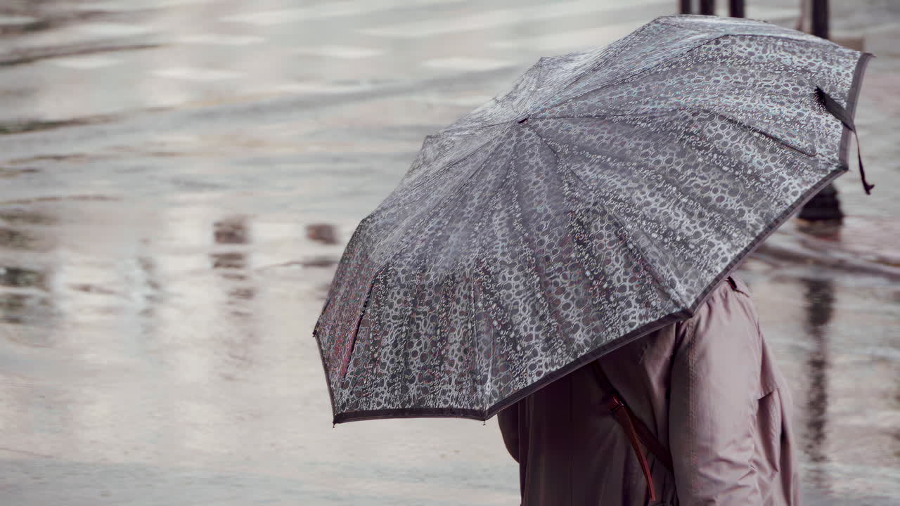 Woman with a print umbrella waiting to cross the street in the rain