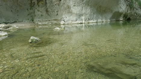 cruce de peces en el rio sentino
