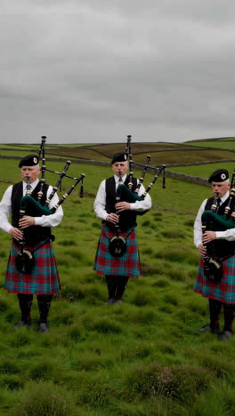 three scottish bagpipers in a green field